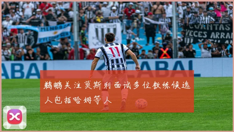 鹈鹕关注莫斯利面试多位教练候选人包括哈姆等人